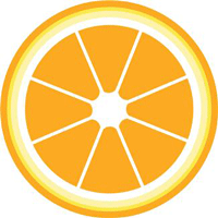 Illustration of orange slice
