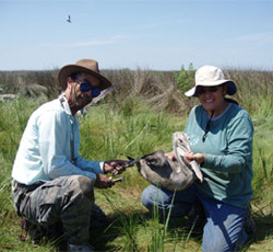 Maryland Master Naturalist Training