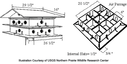 Free Printable Purple Martin House Plans Printable Word 41 OFF