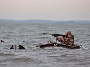 Hunting ducks offshore