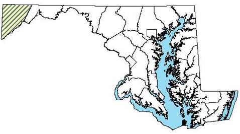 Mountain Earthsnake - Distribution in Maryland