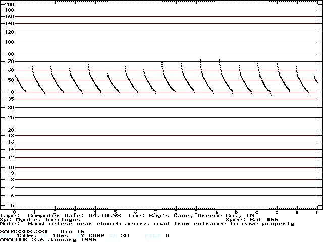 Spectrograph of Little Brown Bat