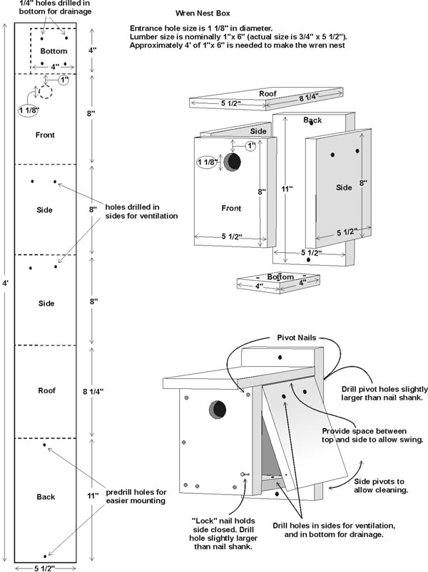 Wren Nest Box Plan Maryland s Wild Acres
