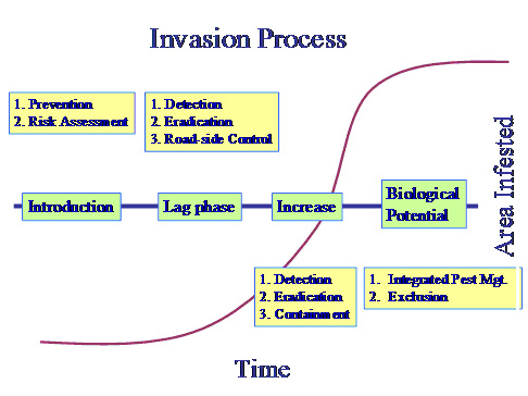 Invasion Process