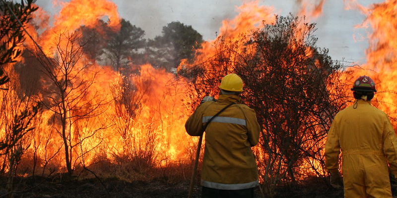 Volunteer Fire Departments in 17 Maryland Counties Get $167,314 for Rural Wildfire Protection
