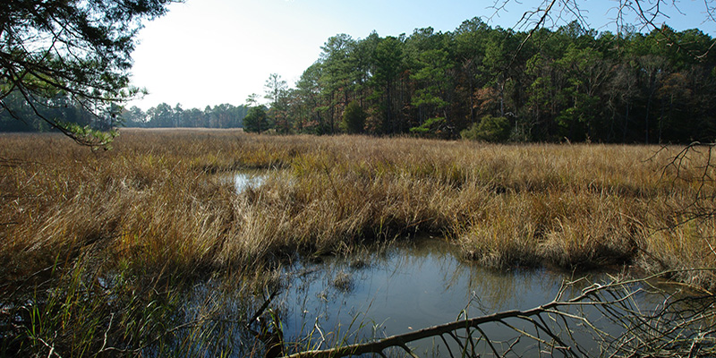 Board of Public Works Approves $8.9 Million for Recreational Improvements and Land Conservation in Baltimore City and Six Maryland Counties