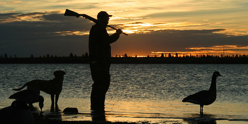 Fins, Fur, and Feather: Maryland’s Destination Species Draw Anglers and Hunters From Afar