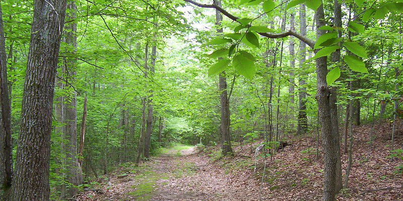 Board of Public Works Approves Nearly $2.9 Million for Park Improvements and Land Conservation in Anne Arundel, St. Mary’s, and Elsewhere