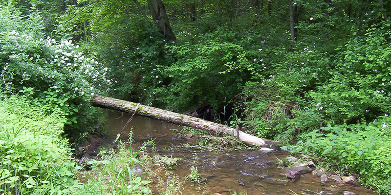 Board of Public Works Approves $4.6 Million for Trails, Playgrounds, and Land Conservation in Eleven Counties