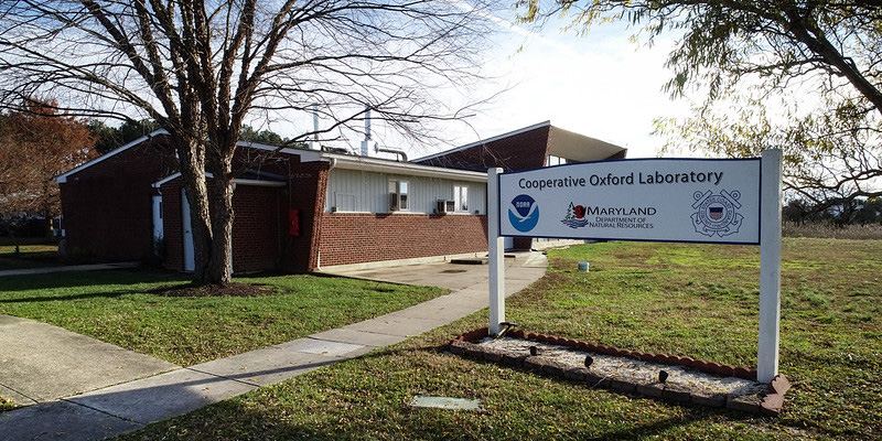 Cornerstone of Bay Science: A Tour of the Cooperative Oxford Laboratory