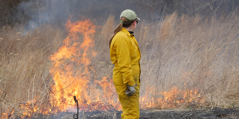 DNR Conducting Spring 2026 Prescribed Burns in Worcester and Wicomico Counties