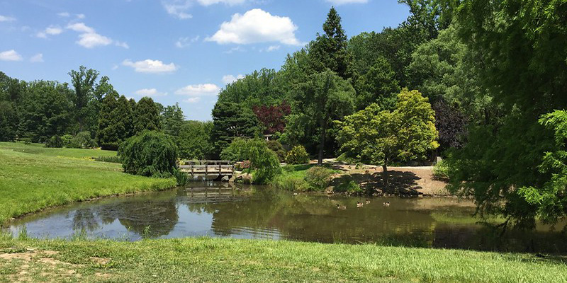Greenspace Equity Program Proposes $7 Million in Grants for Fiscal Year 2027