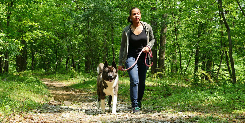 Land and Water Conservation Fund Provides $7 Million for Maryland Outdoor Recreation Projects