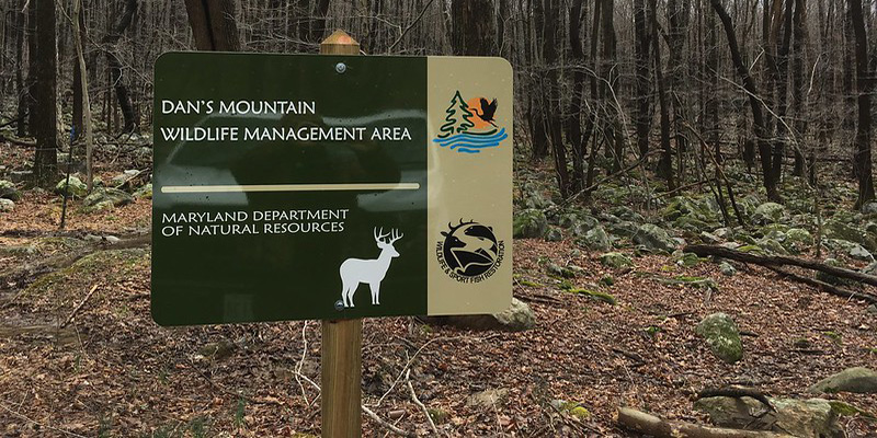 DNR to Conduct Spring 2026 Controlled Burn for Dan’s Mountain Wildlife Management Area