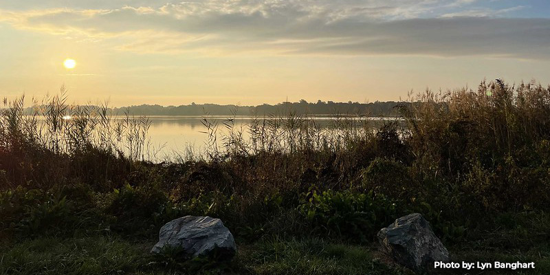 Whole Watershed Program Projects Prepare for Coordinated Restoration Work