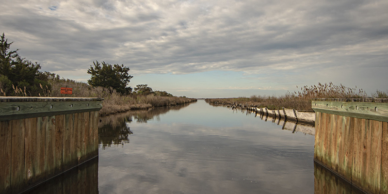 Wilderness Awaits: Exploring Maryland’s Outdoor Opportunities At Wildlife Management Areas