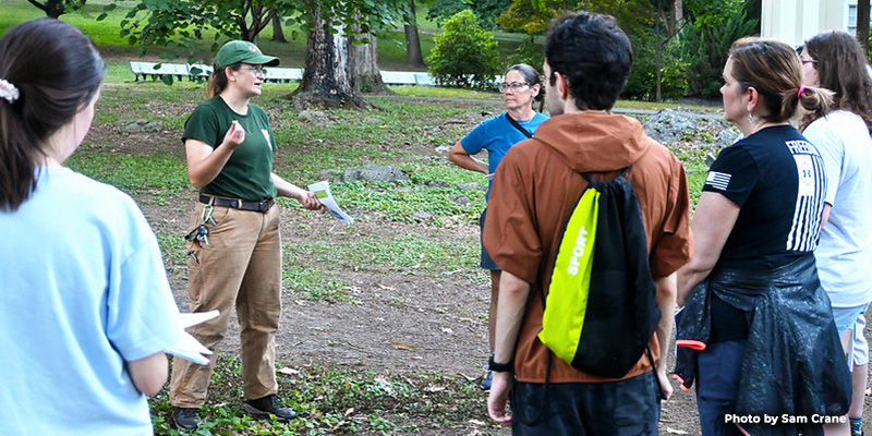 Tree-Mendous Maryland Program Expands Support for Community Forestry