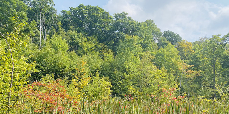 Board of Public Works Approves $1.66 Million for Recreation Upgrades in Four Maryland Counties