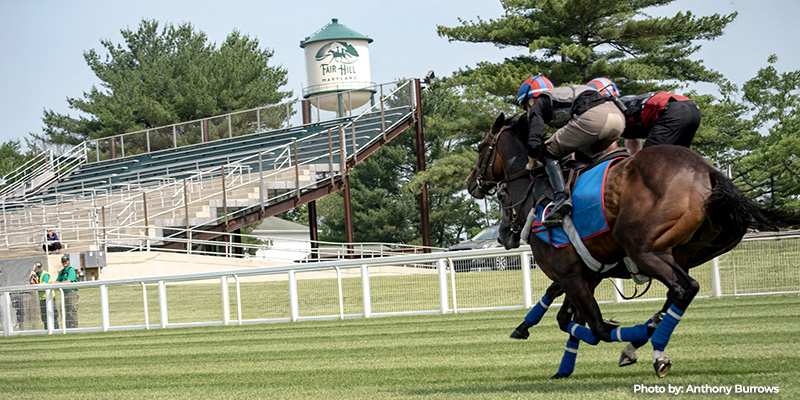 Maryland Department of Natural Resources Announces Horse Racing to Return at Fair Hill Turf Track