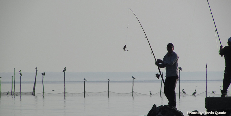 New MD Outdoors Licensing System Now Online