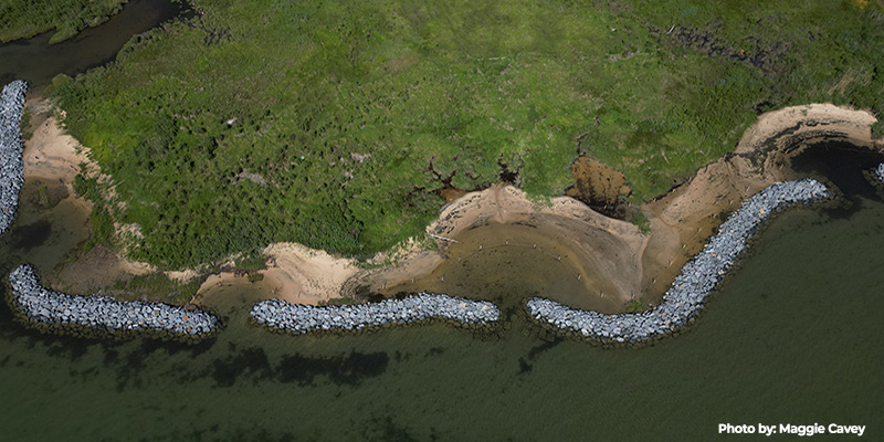 Flood Reduction and Restoration Projects Throughout Maryland Funded with $690,000