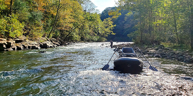 Maryland DNR Offers Enhanced Trout Stocking Program for 2026