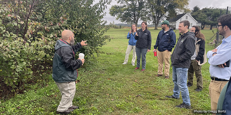 Maryland’s “Edible Understory” is on the Verge of Being Discovered