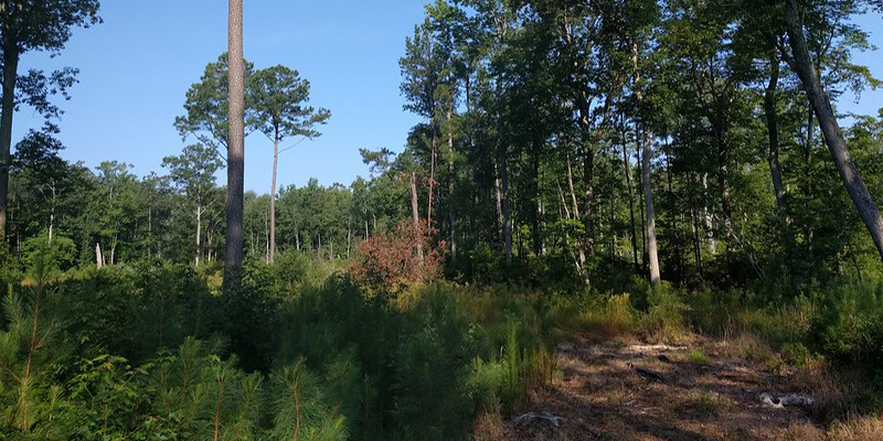Board of Public Works Approves $21 Million for 2027 Rural Legacy Grant Awards, $4.6 Million for Park Upgrades and Land Conservation in Nine Counties