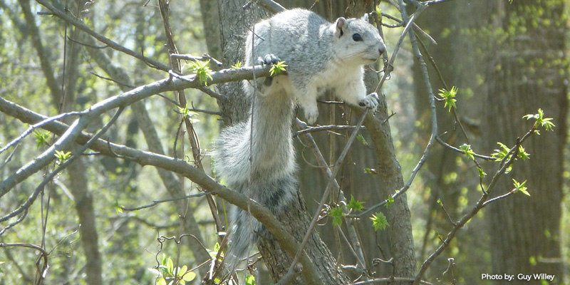 Board of Public Works Approves $747,000 for Playgrounds and Land Conservation in Four Maryland Counties