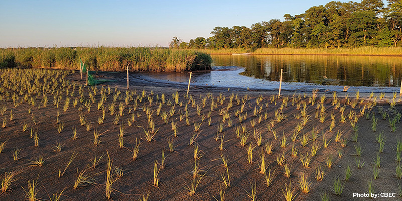 Project Spotlight: DNR’s Watershed and Climate Services Partners With Environmental Education Preserve To Build a Living Laboratory of Restoration Science