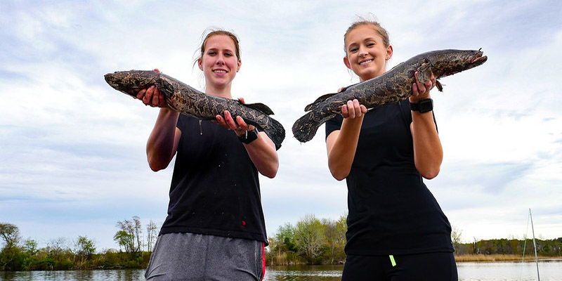 Anglers Can Explore Maryland’s Diverse Waters During License-Free Fishing Days