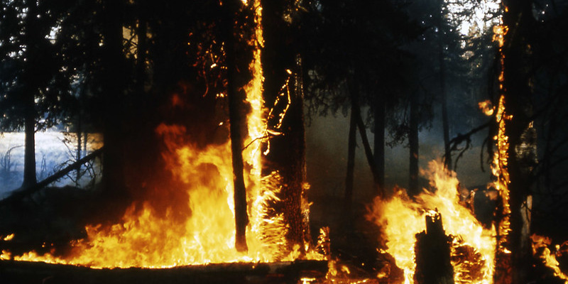 Maryland Forest Service Offers Safety Rules and Tips for Spring Wildfire Season