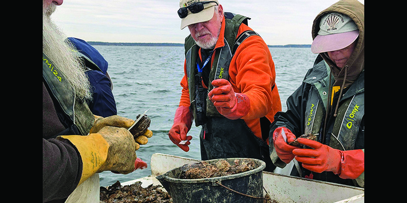 Governor Moore Announces Historic Year for Oyster Reproduction in Maryland Waters
