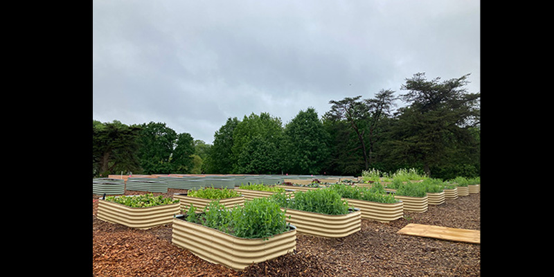 Greenspace Equity Grants Available for Communities to Provide Outdoor Access for All Marylanders