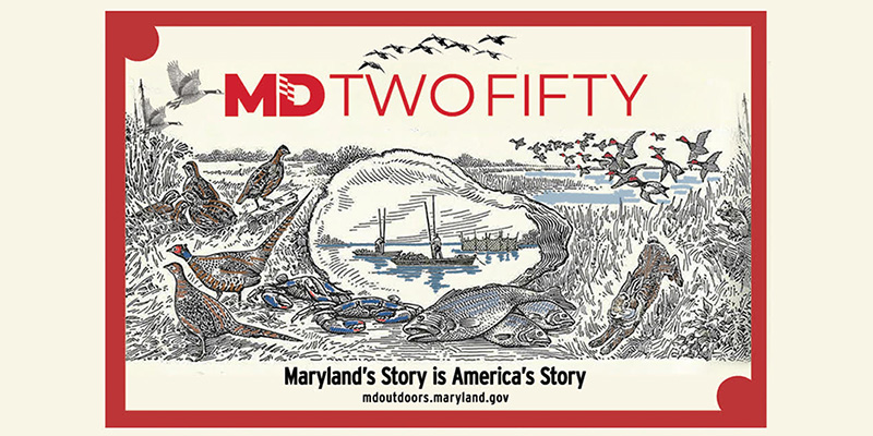 Maryland DNR Offers Special Edition MD250 Hard Card for Sale in Honor of America’s 250th Birthday