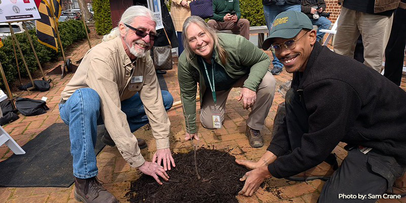 Living History Takes Root Across Maryland with Liberty Tree Project