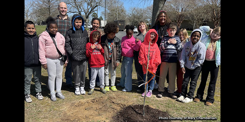 Community Forestry Catalyst Fund Simplifies Access to Local Forestry Grants