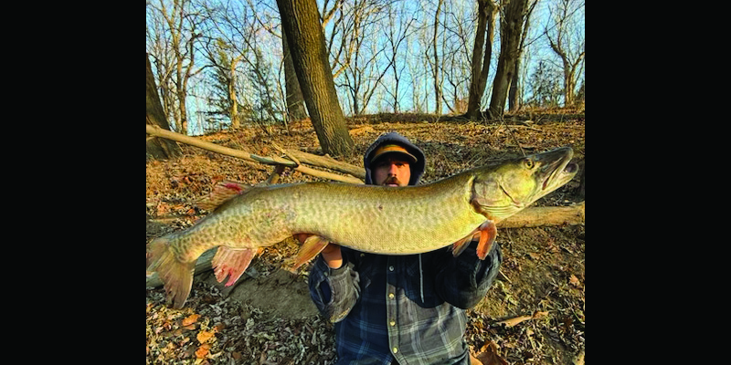 Elusive Potomac River Muskie, Dubbed Fish 691, Caught for First Time After Years of DNR Study