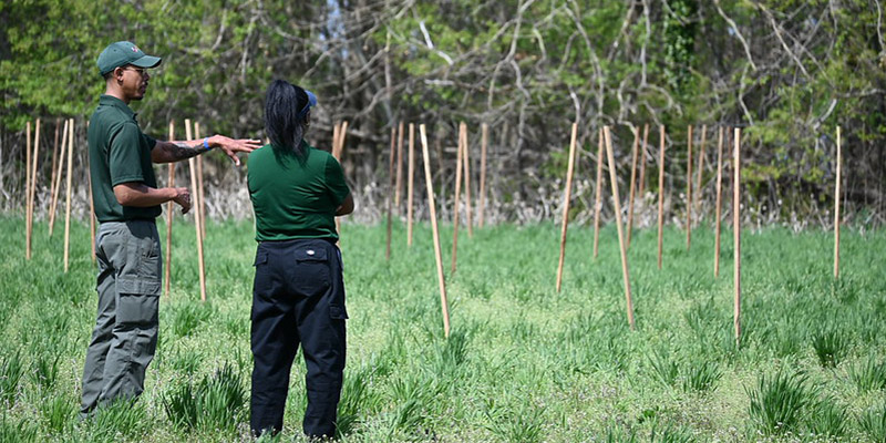 Maryland Forest Service’s Large-Scale Tree Planting Expands Riparian Buffer at Newtowne Neck State Park