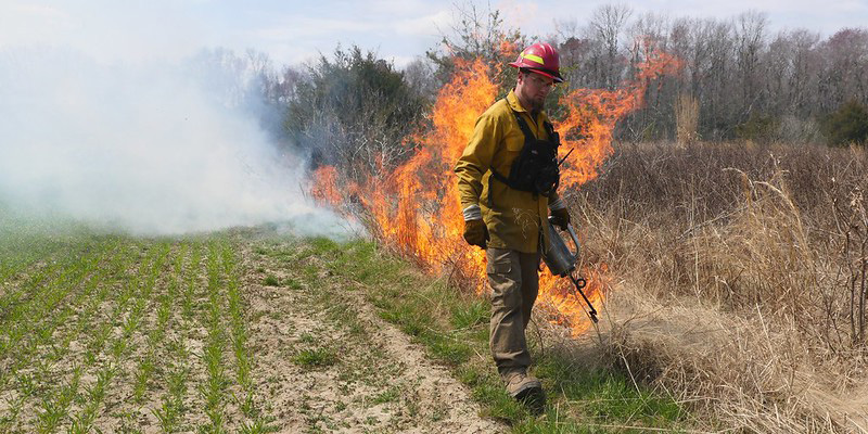 Controlled Burn Planned for Dan’s Mountain Wildlife Management Area in Mid-November