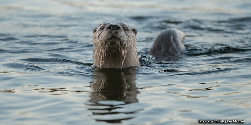 Maryland DNR 2026 Photo Contest is Taking Entries