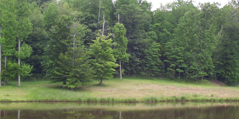 Board of Public Works Approves $4.7 Million for Park Improvements and Land Conservation in Seven Maryland Counties