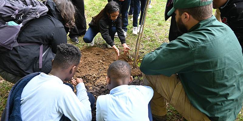 Planting with a Purpose: Schoolyard Forests Program Grows Through Collaboration