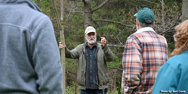 Maryland Landowners Encouraged to Become Certified Tree Farmers