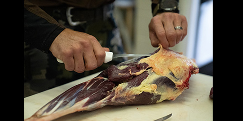 DNR Announces Grant Money Available Again for Venison Donation Programs