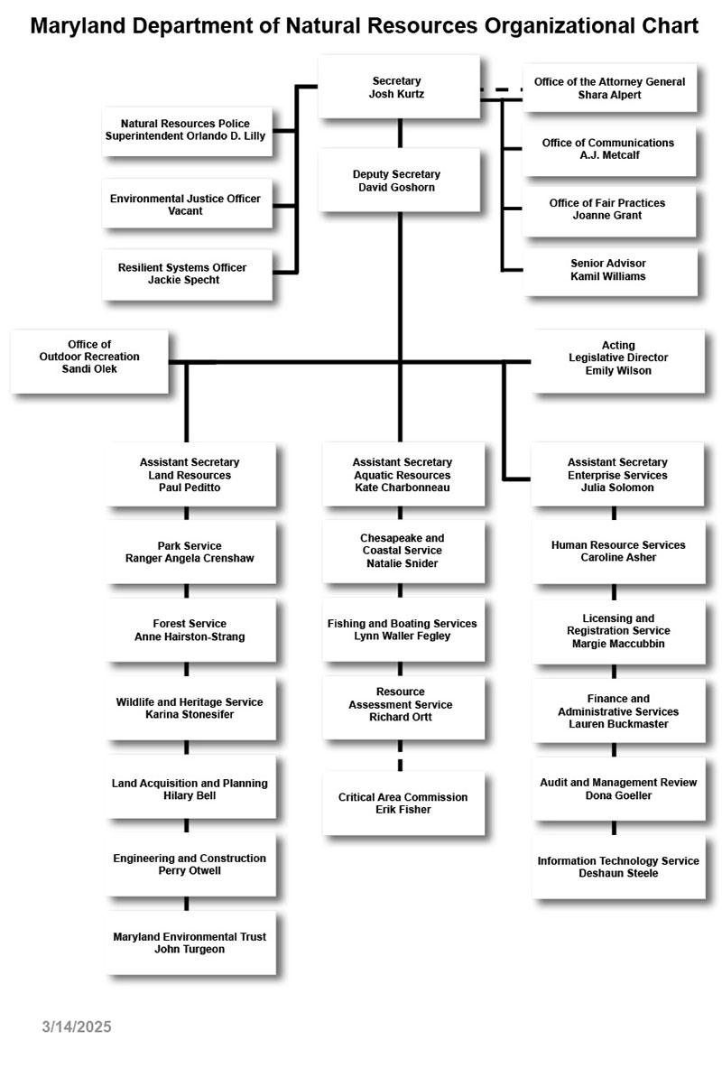 DNR Organization Chart - text version below