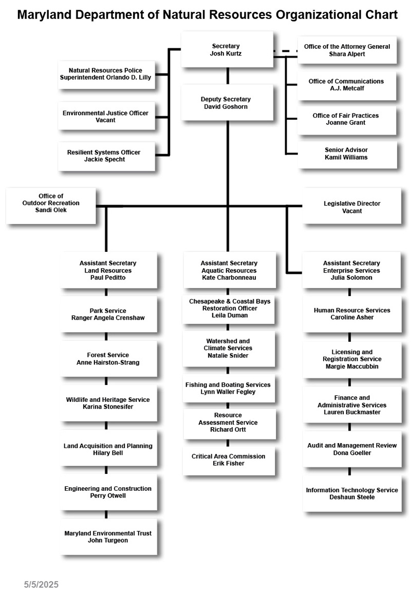DNR Organization Chart - text version below