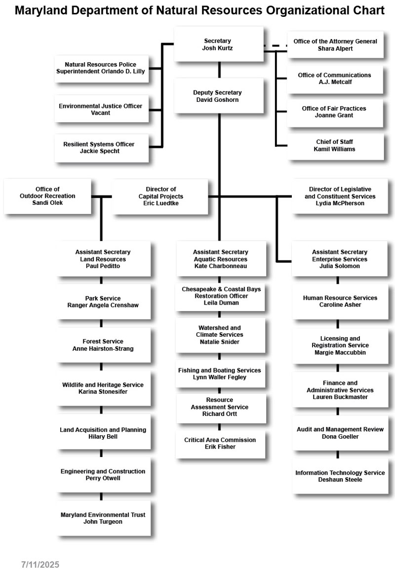 DNR Organization Chart - text version below