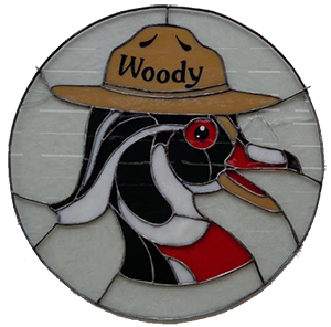 Stained glass version of Woody Duck