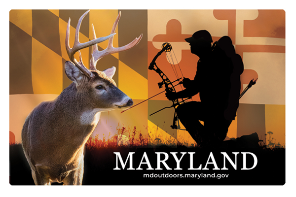 Card with white-tailed deer and a bowhunter. Maryland flag at the bottom